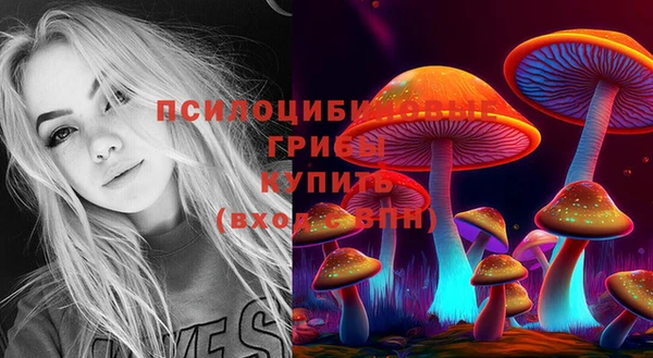 дмт Алексин