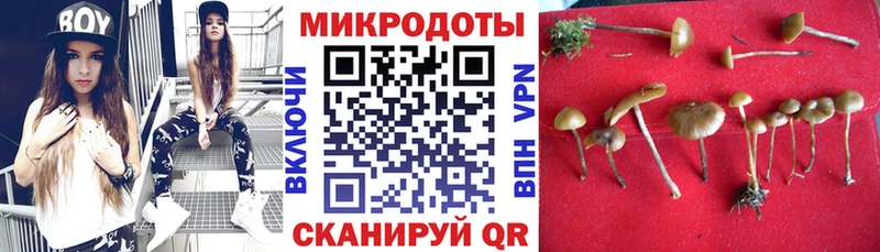Псилоцибиновые грибы Magic Shrooms  Волхов 