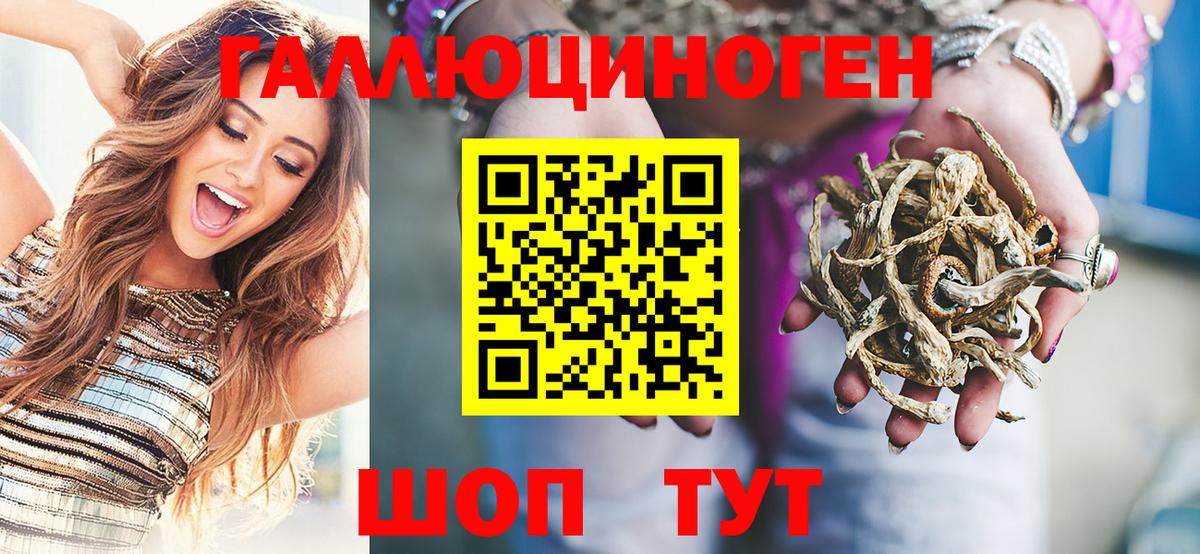 Волхов  Галлюциногенные грибы ЛСД  Вход с VPN 