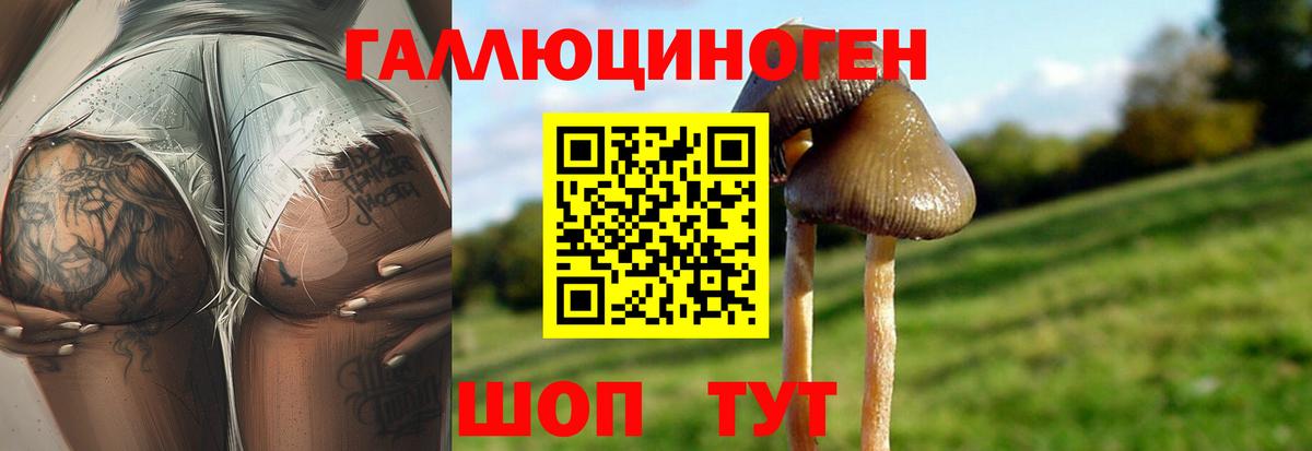 Псилоцибиновые грибы ЛСД Волхов
