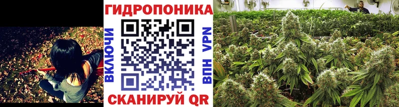 где продают наркотики  Волхов  Бошки марихуана VHQ 