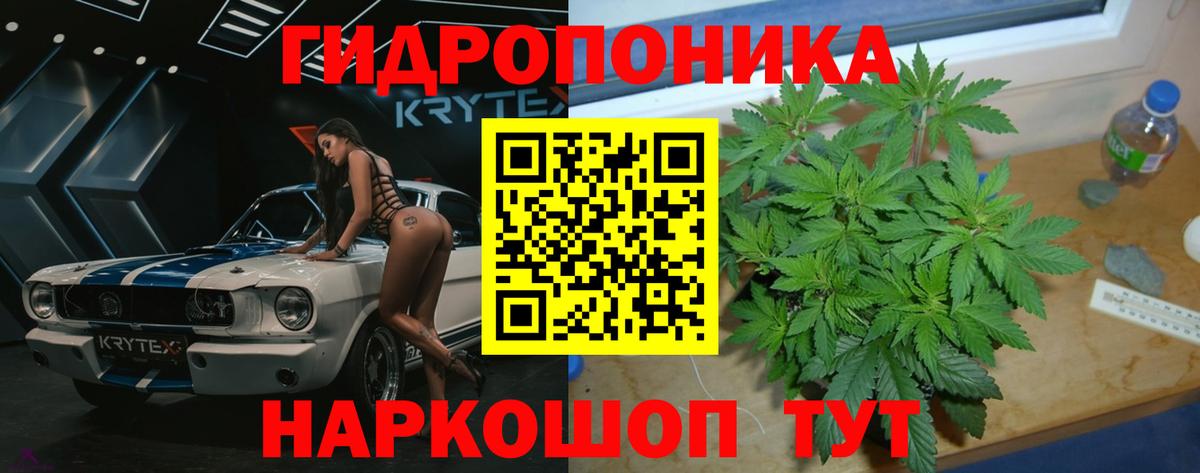 Бошки Шишки планчик Волхов